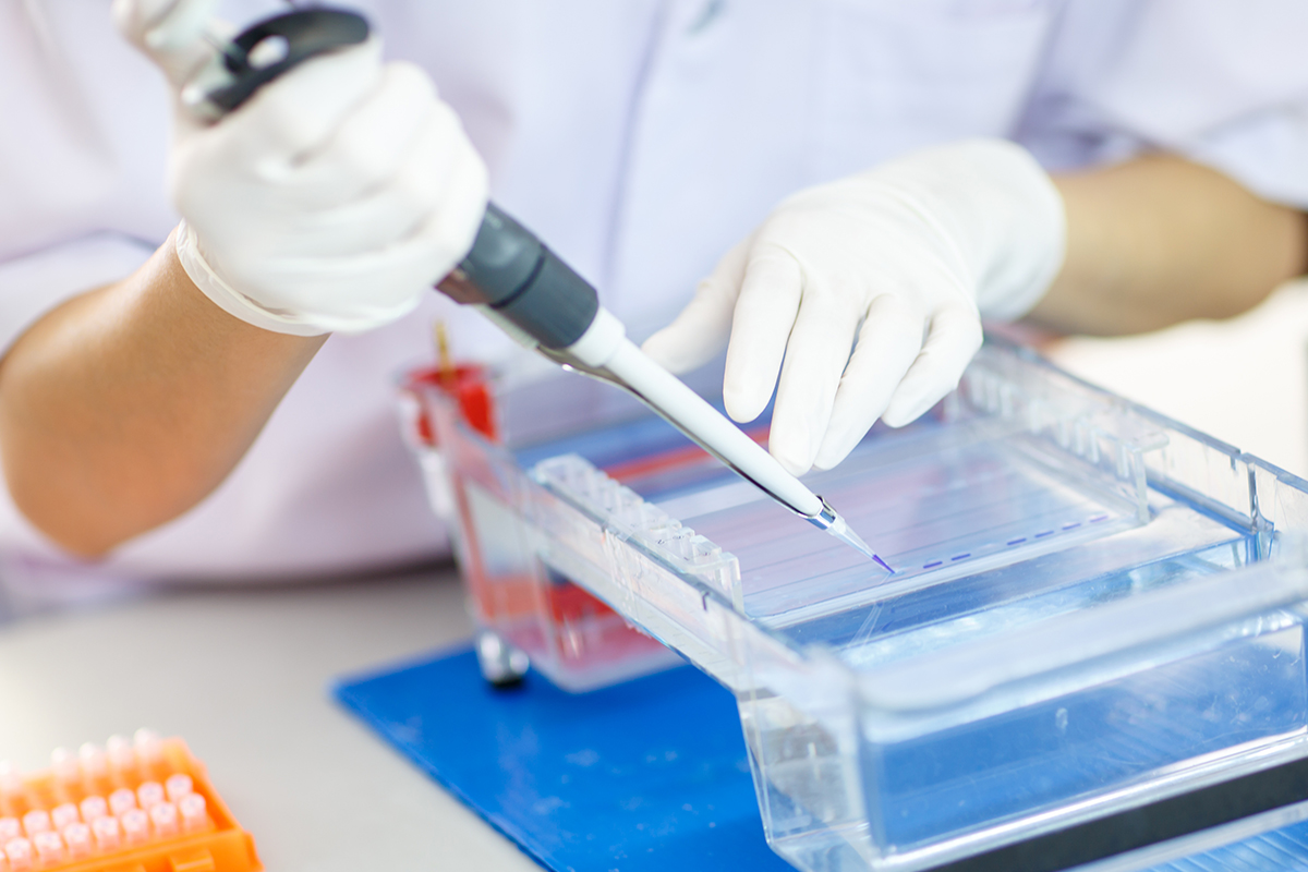 Hands of a scientist working with equipment in a medical research laboratory