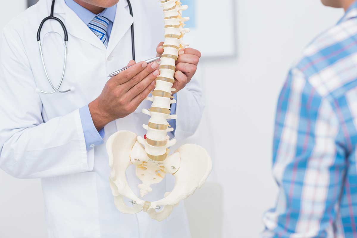Doctor showing anatomical spine to his patient in medical office.