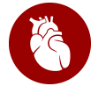 Heart and Valve Care