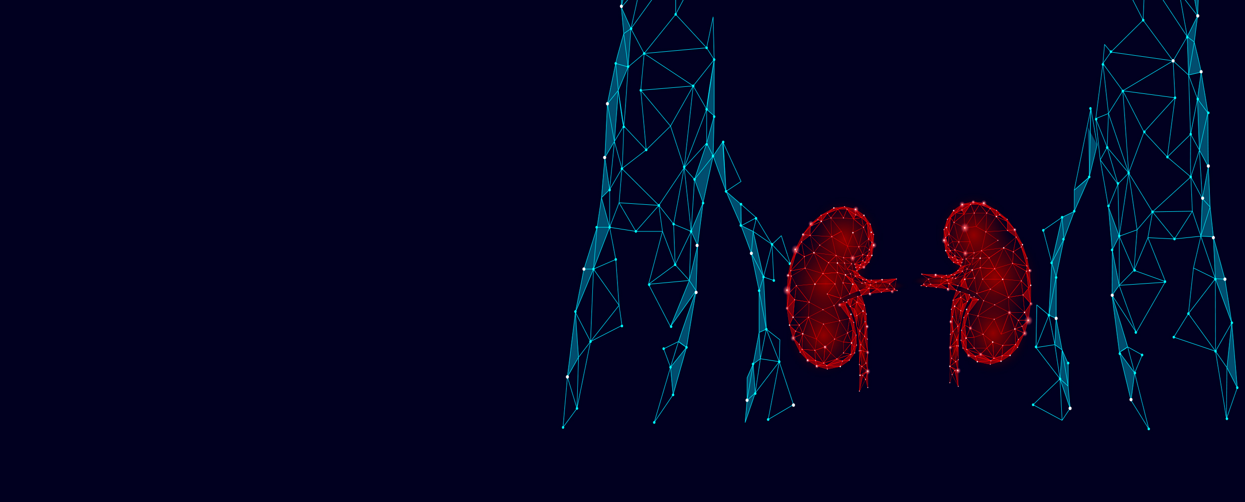 A rendering of a human torso with two red kidneys on a blue background