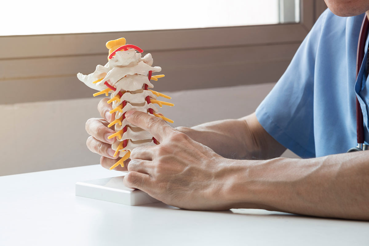 Doctor explaining neck pain by demonstrating a cervical spine model to the patient in a medical office.