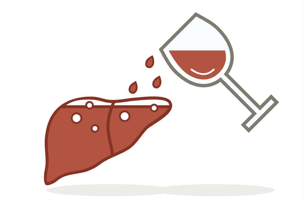 Illustration of liver and wine glass