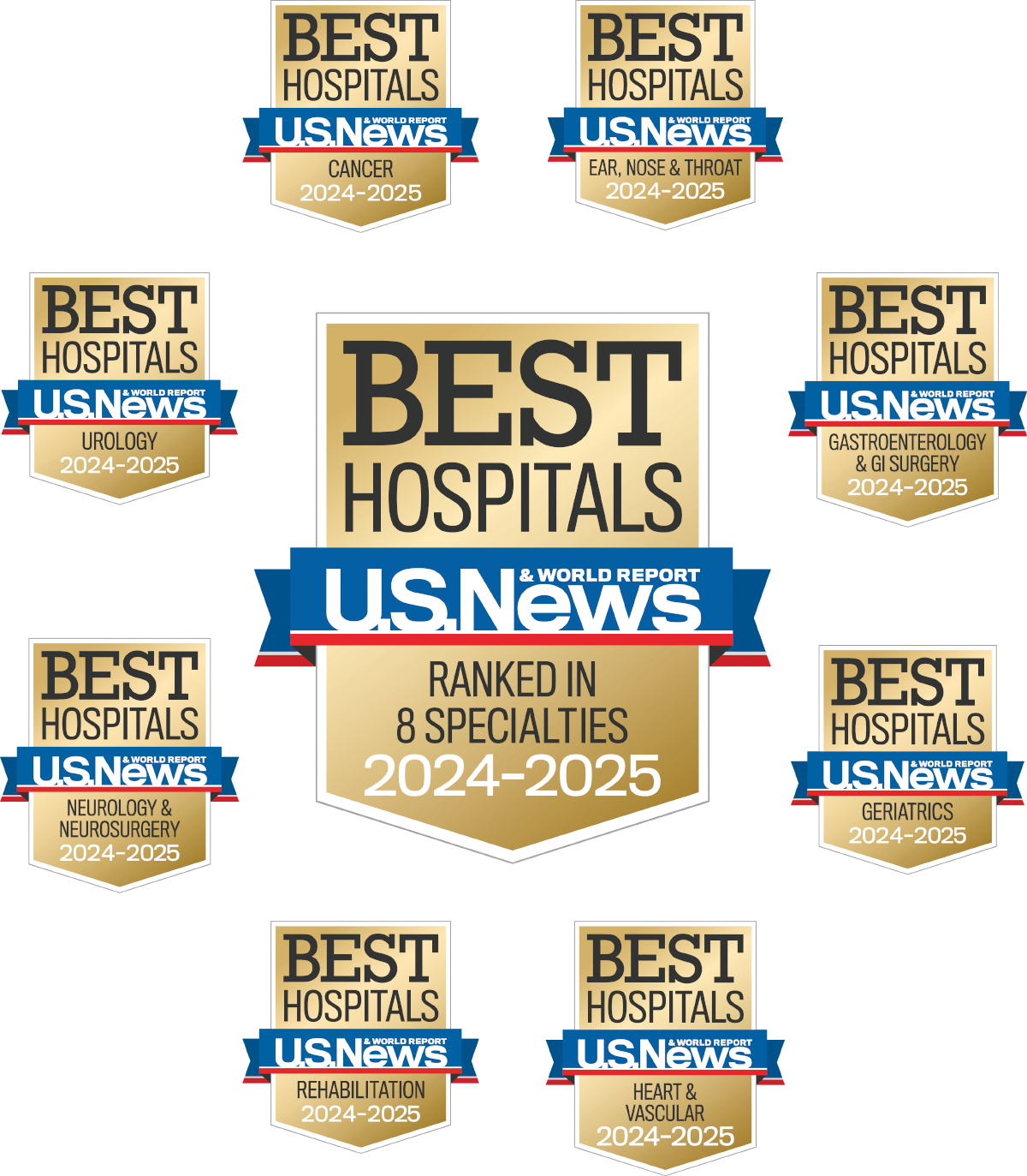 U.S. News & World Report Best Hospitals Badge Ranked in 8 Specialties 2024-25