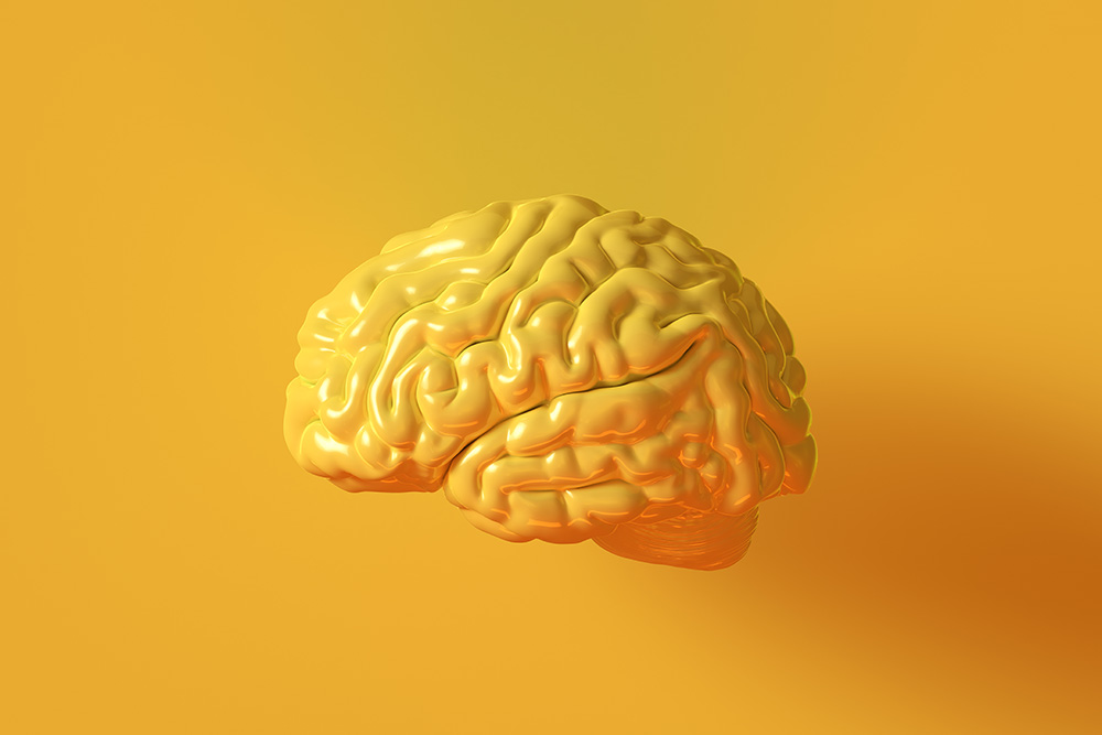 A graphic depiction of a brain on a yellow background.