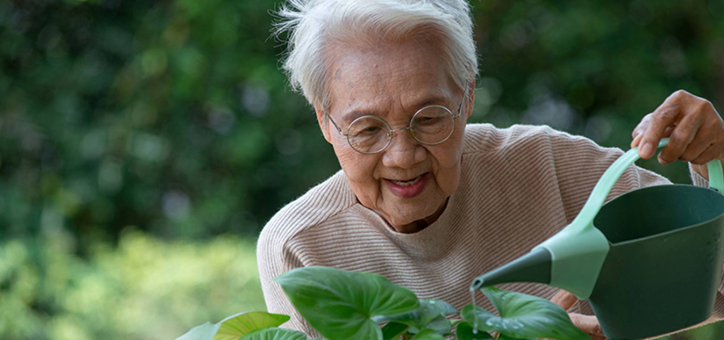 An elderly Asian woman in her garden, watering plants with a green watering container.