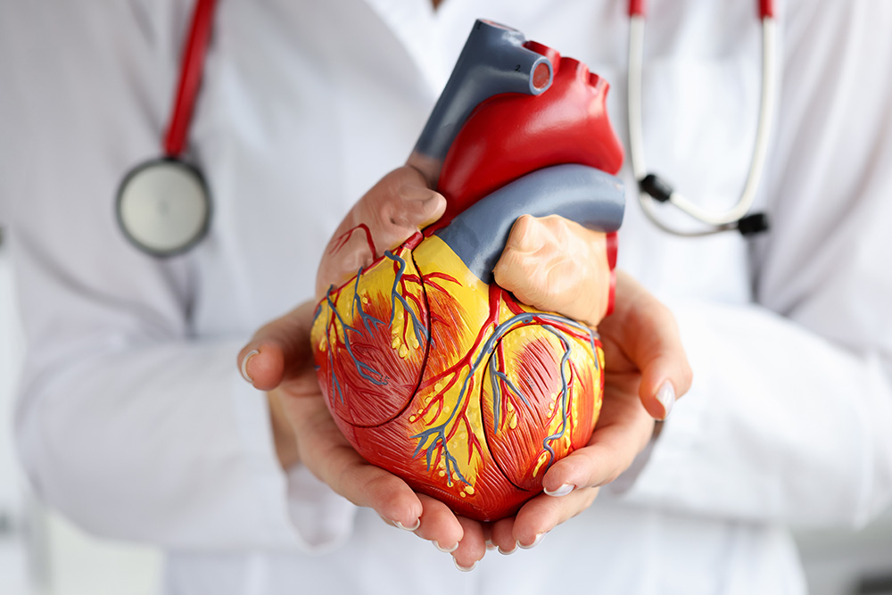 Heart Valve Problems and Treatments: A Cardiac Surgeon Explains