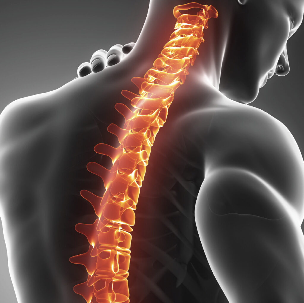 Spine symposium cover art