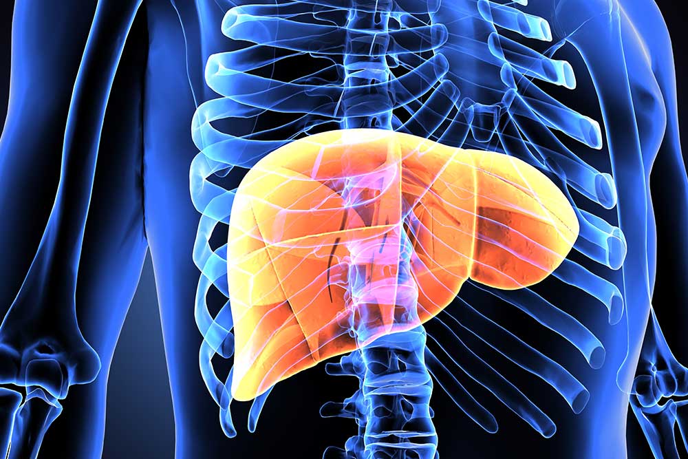 Which Are the 3 Most Commonly Underdiagnosed Autoimmune Liver Diseases?