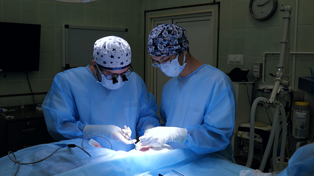 Facial Nerve Regeneration: Latest Advances in Surgical Reinnervation
